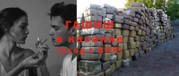 сатива Инта